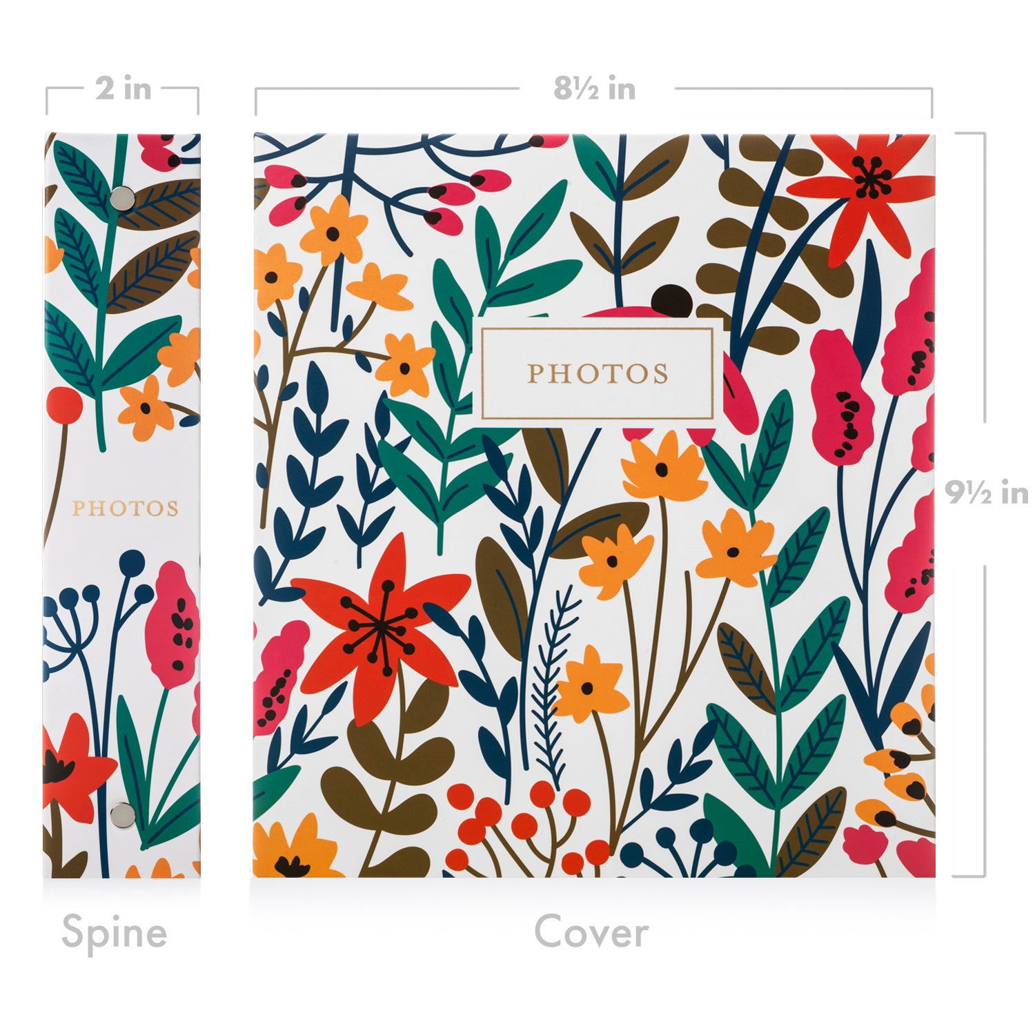 Photo Album Set - Clear Pocket Sleeves, 6 Tab Dividers, 3-Ring Binder Jot & Mark Photo Album Set - Clear Pocket Sleeves, 6 Tab Dividers, 3-Ring Binder Jot & Mark